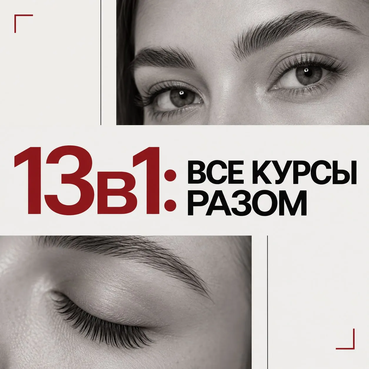 Обложка пакета обучений «13 в 1: ВСЕ КУРСЫ РАЗОМ»